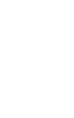 優(yōu)質小麥